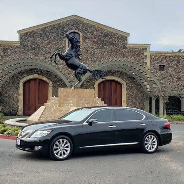 Chauffeured Services Coldstream